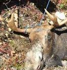 Avatar de l’utilisateur