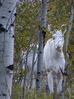 Avatar de l’utilisateur